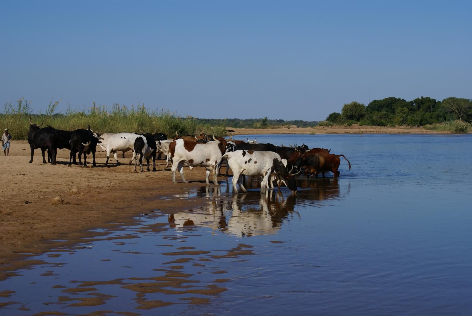 Image légendée