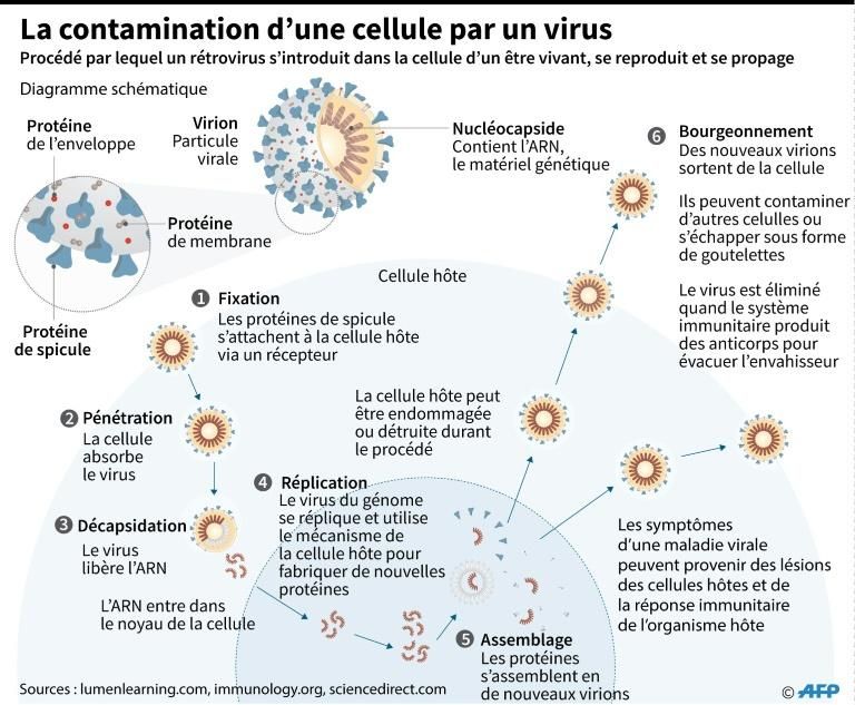 Image légendée