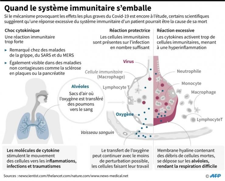 Image légendée