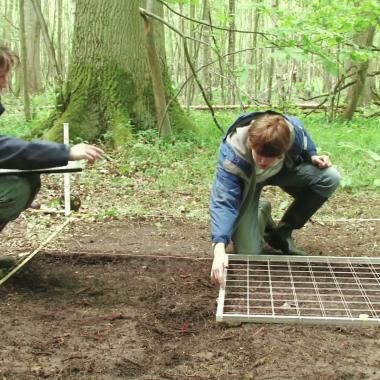 Voir la vidéo de Petits carreaux