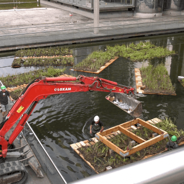 Jardins flottants à la Cité 