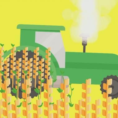 Voir la vidéo de Biocarburants, l&#039;infographie