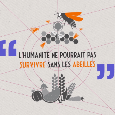 Voir la vidéo de « L’humanité ne pourrait pas survivre sans les abeilles !? »