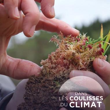 Voir la vidéo de Tourbières : pièges à carbone 