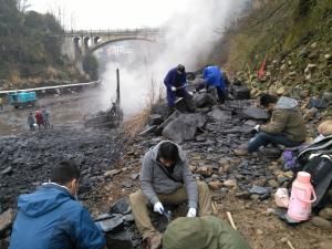 Explosion cambrienne : un site chinois riche en espèces inconnues 