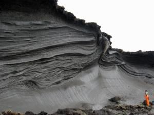 Le réchauffement climatique atténué grâce aux tourbières ? 