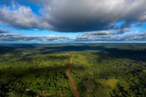 12 millions d’hectares de forêts tropicales détruites en 2018 