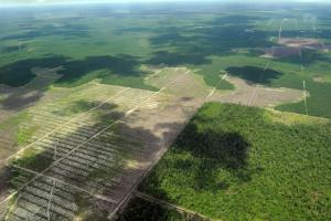 Paris accueille les experts mondiaux de la biodiversité