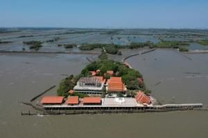 En Thaïlande, replanter la mangrove contre l’érosion côtière... et pour sauver un temple