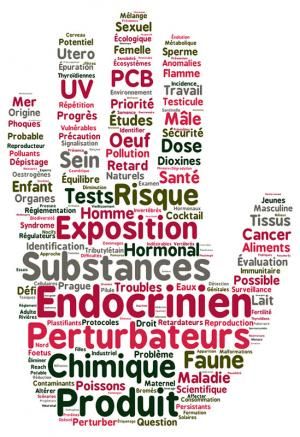 Perturbateurs endocriniens : une résolution largement adoptée par le Parlement européen 