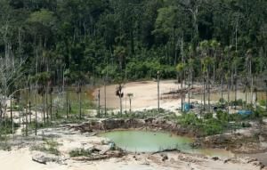 La destruction de la nature, une menace pour l&#039;Homme autant que le réchauffement 