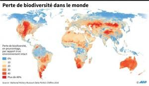 Jusqu’à 1 million d’espèces pourraient être menacées d’extinction 