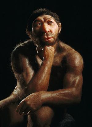 Disparition de Neandertal : un problème de fertilité ?