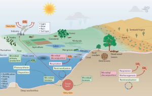 Changement climatique : gare aux micro-organismes, alertent des biologistes