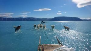 Réchauffement climatique : une nouvelle saison en enfer au Groenland 