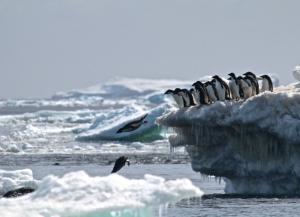 2014 a été une année charnière en Antarctique et on ne sait pas pourquoi