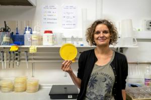 Audrey Dussutour, chercheuse-vedette sur le blob, au service de la science fondamentale 