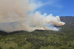 Forêts : l’Afrique brûle aussi, mais pas comme l’Amazonie 