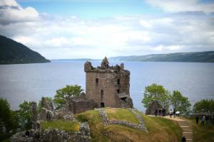 Le monstre du Loch Ness : et s’il y avait anguille (géante) sous roche ? 