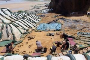 Des empreintes de pas de néandertaliens sur une plage normande