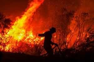 Craintes pour le climat en Indonésie : les feux reprennent de la vigueur