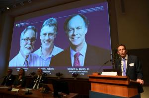 Le Nobel de médecine récompense des travaux sur l’adaptation des cellules à l’oxygène