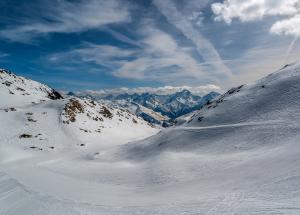 Climat : la biodiversité change autour des glaciers 