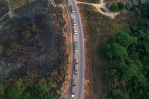 Brésil : la déforestation a plus que doublé en Amazonie en un an 