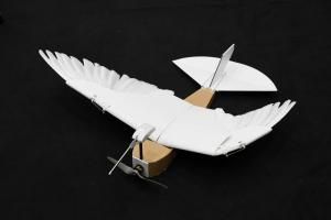 Un robot à plumes pour comprendre le vol du pigeon