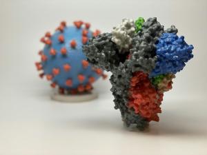 Coronavirus : un vaccin d’ici 12 à 18 mois minimum