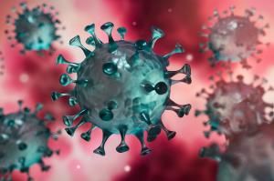 Coronavirus : le point sur la pandémie dans le monde