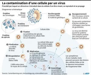 SARS-CoV-2 : une contamination confirmée avant même tout symptôme