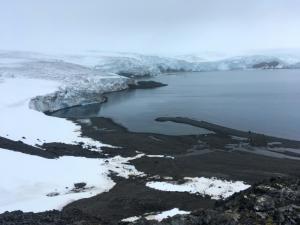 Du microplastique découvert dans l’écosystème terrestre de l’Antarctique 