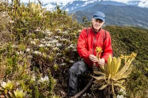 Découverte en Colombie d’une plante essentielle pour la préservation de l’eau 