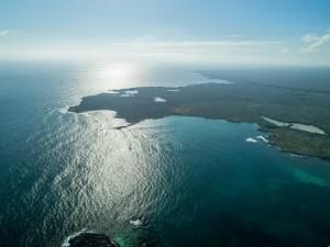 Trente nouvelles espèces marines découvertes aux Galapagos