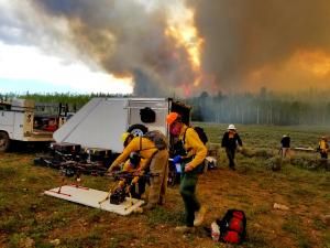 La fumée des feux de forêt, une source infectieuse à ne pas sous-estimer