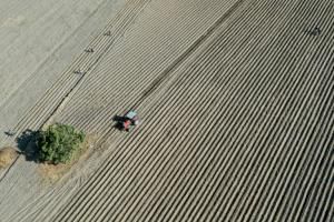 Le maïs OGM et le glyphosate bannis du Mexique dans les trois ans