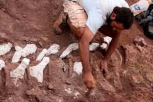 Le plus grand dinosaure découvert en Argentine ?