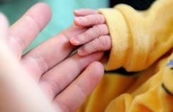 Première naissance en France après une greffe d’utérus 