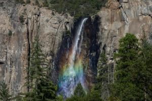 Source d’eau, chants d’oiseaux… des sons naturels bons pour la santé