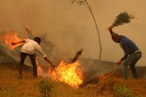 Au Népal, des feux de forêt d’une violence inédite depuis dix ans