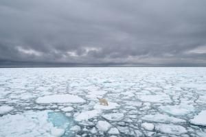 Le thermomètre s&#039;emballe dans l&#039;Arctique, avertit un rapport