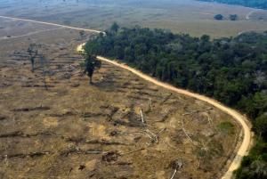 Brésil : 94 % de la déforestation en Amazonie est illégale, selon un rapport 