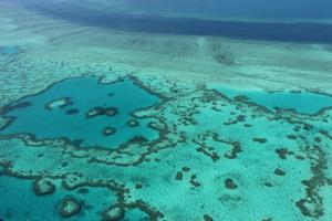 Grande Barrière de corail « en danger » pour l’Unesco, l’Australie prête à contester