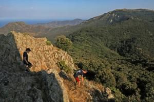 La hêtraie de la Massane, une forêt inexploitée classée par l’Unesco