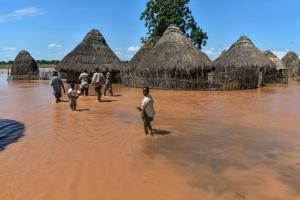  Climat en Afrique: les vies de millions de personnes menacées