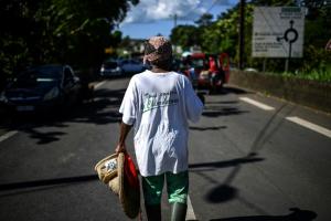 Chlordécone : les cancers de la prostate considérés comme « maladie professionnelle »