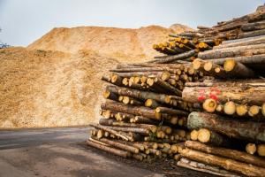 L&#039;industrie des granulés de bois en Estonie sur le banc des accusés