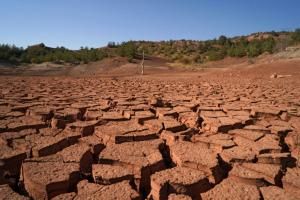 Climat : le deuxième volet du rapport du GIEC en cours d’adoption 