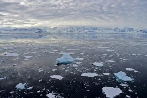 En Antarctique, une température supérieure de 30 °C aux normes saisonnières